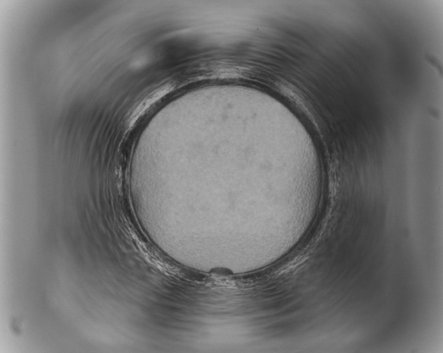 X0000101140827200807251024