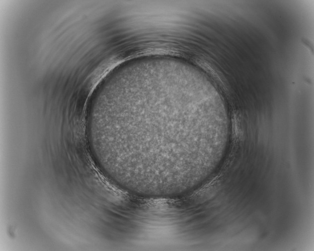 X0000101140828200807251024