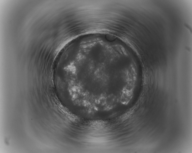 X0000101140830200807251024