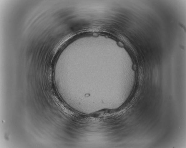 X0000101140831200807251024