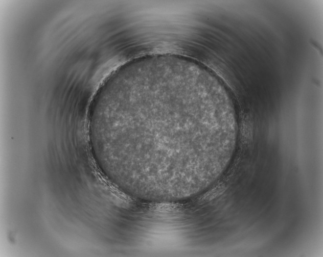 X0000101140832200807251024