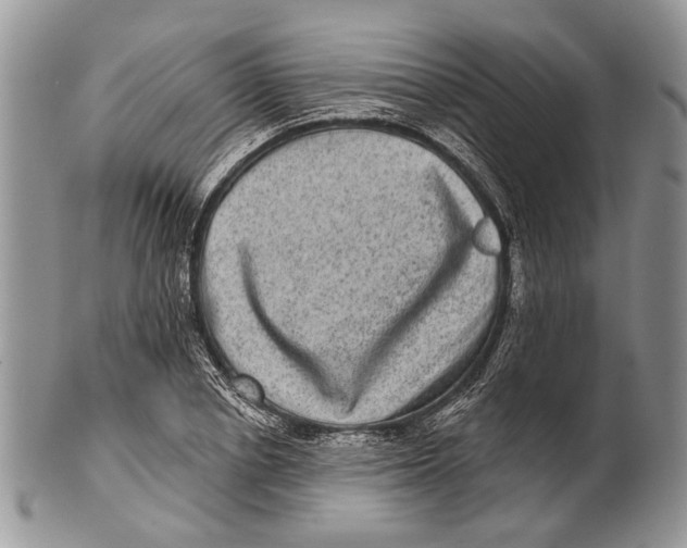 X0000101140834200807251024