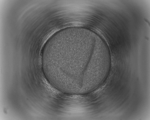 X0000101140835200807251024