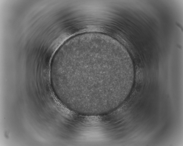 X0000101140836200807251024