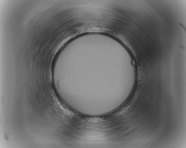 X0000101140837200807251024