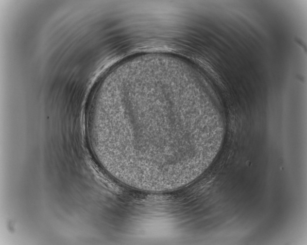 X0000101140840200807251024