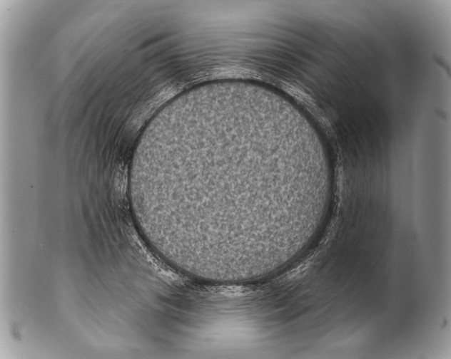 X0000101140841200807251024