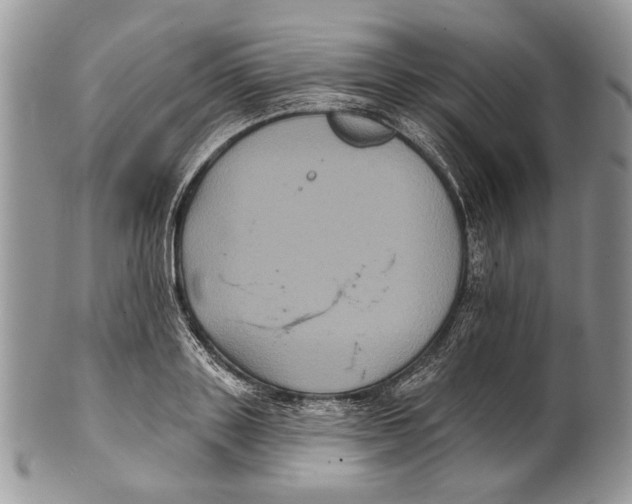 X0000101140843200807251024