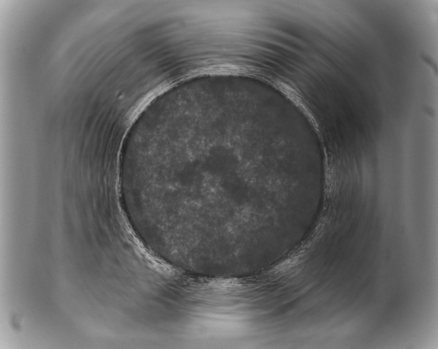 X0000101140845200807251024