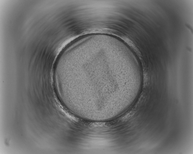 X0000101140846200807251024