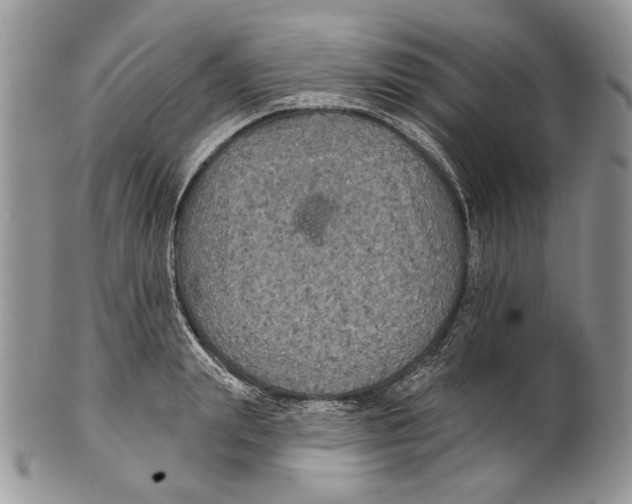 X0000101140847200807251024