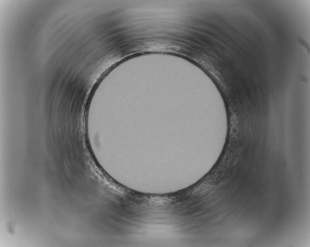 X0000101140848200807251024