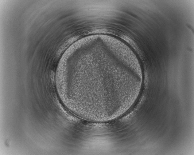 X0000101140849200807251024