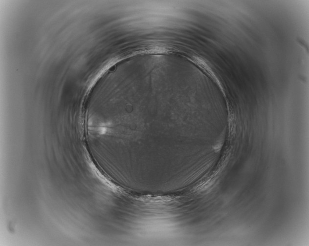 X0000101140851200807251024