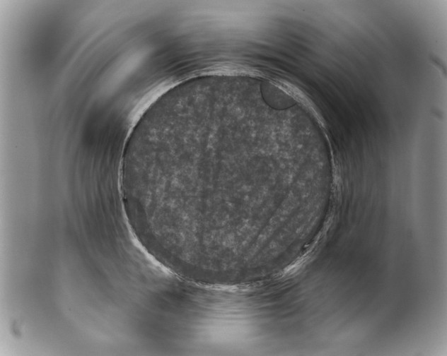 X0000101140855200807251024