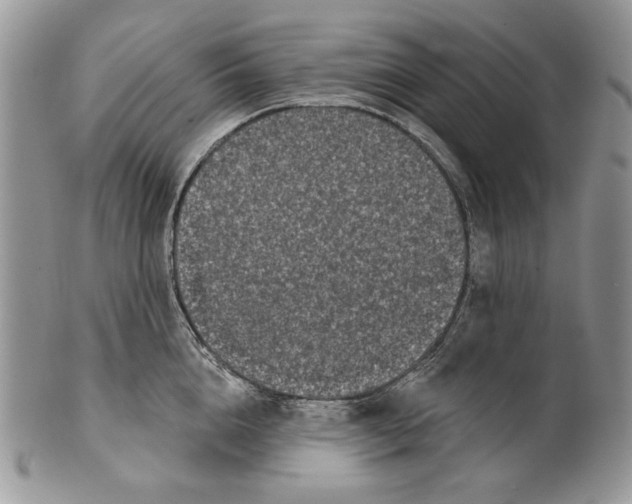 X0000101140856200807251024