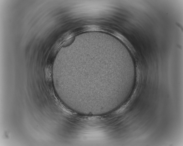 X0000101140857200807251024