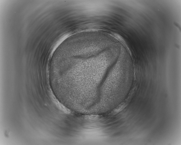 X0000101140859200807251024