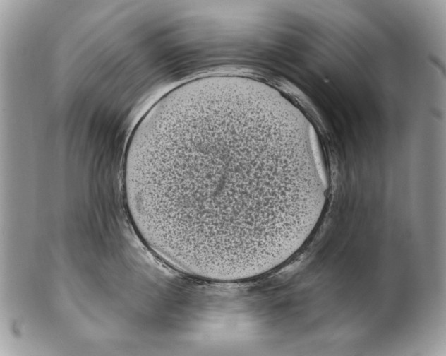 X0000101140860200807251024