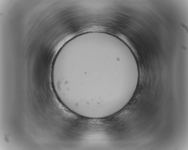 X0000101140861200807251024