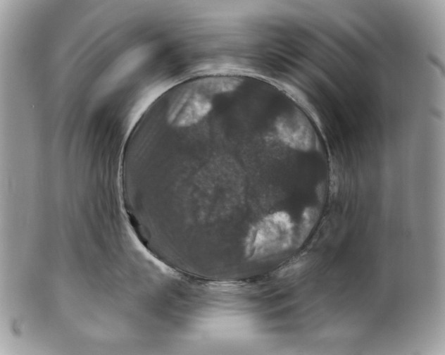 X0000101140863200807251024