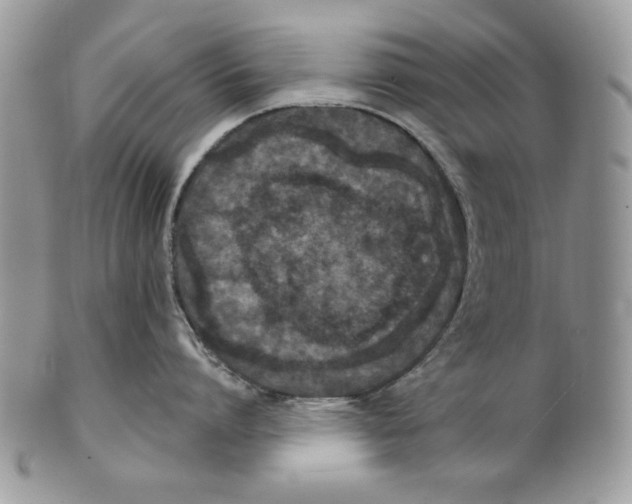 X0000101140864200807251024