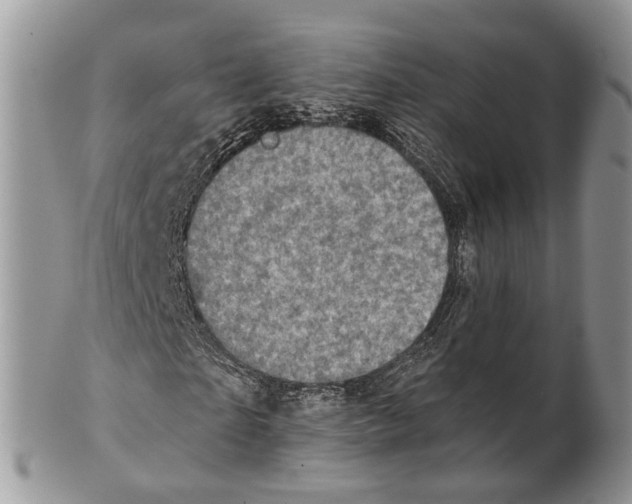 X0000101140865200807251024