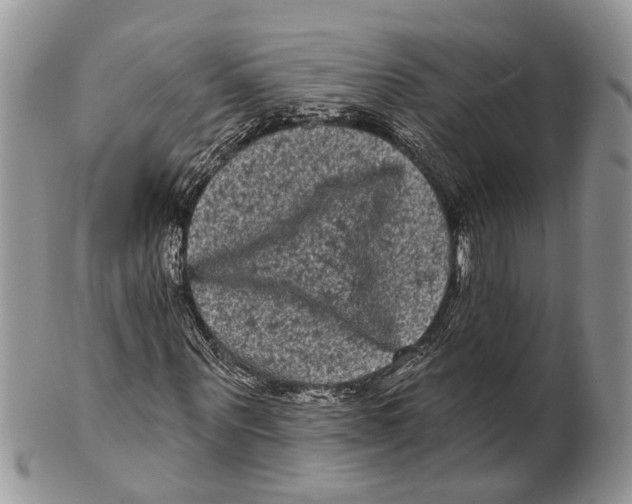 X0000101140867200807251024