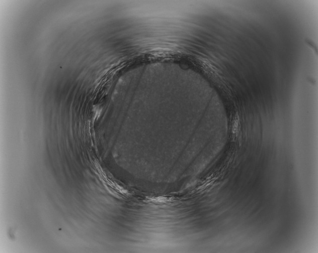 X0000101140868200807251024