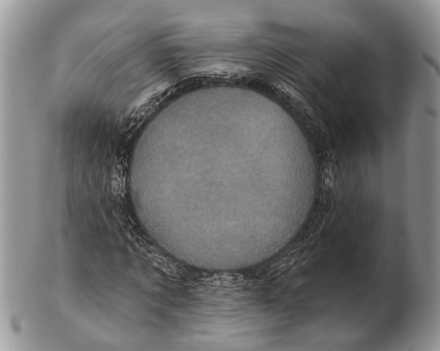 X0000101140869200807251024