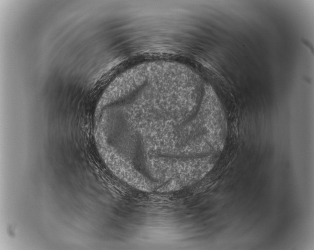 X0000101140870200807251024