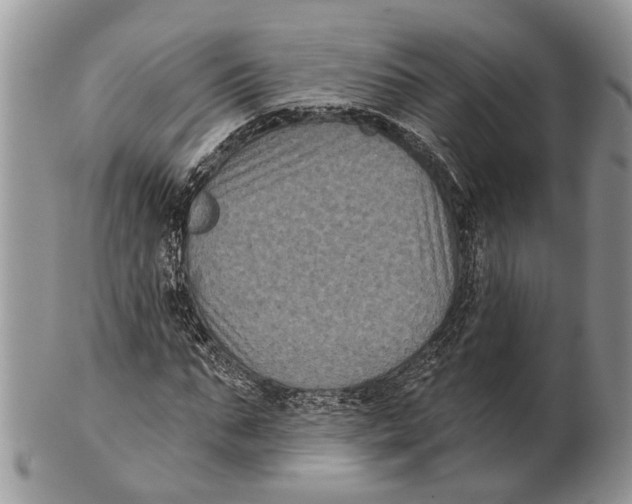 X0000101140871200807251024