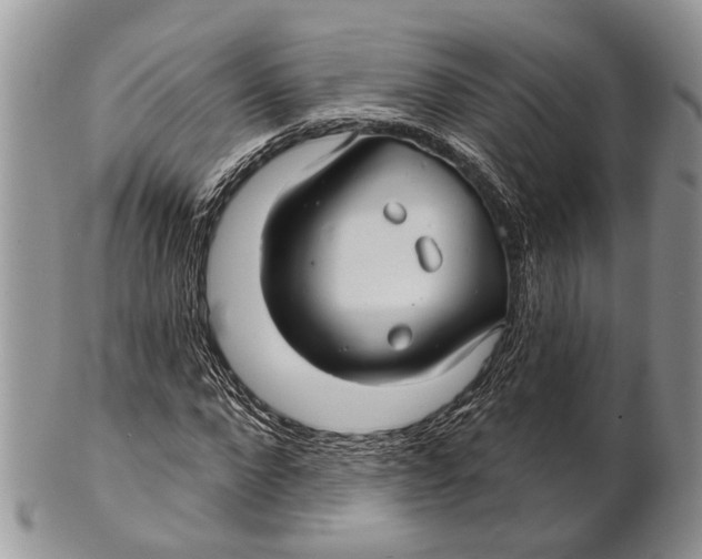 X0000101140872200807251024