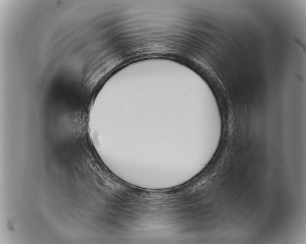 X0000101140873200807251024