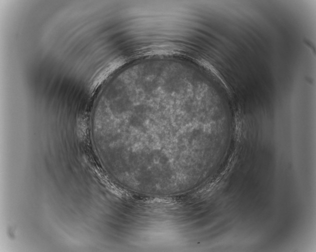 X0000101140874200807251024