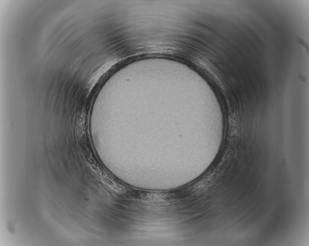 X0000101140875200807251024