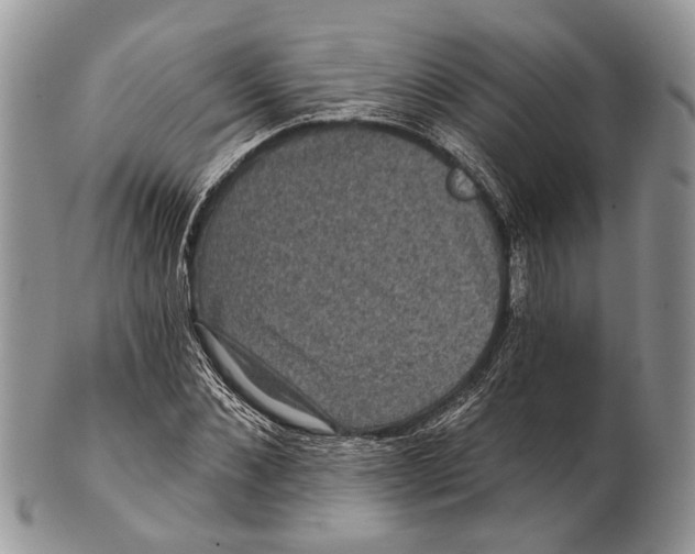 X0000101140876200807251024