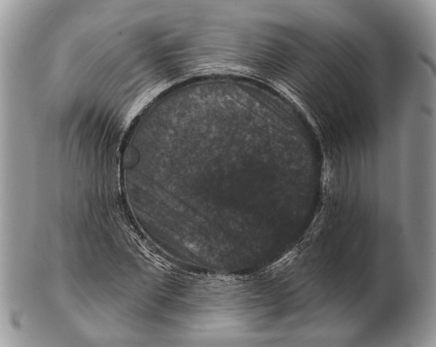 X0000101140877200807251024