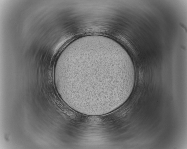 X0000101140878200807251024