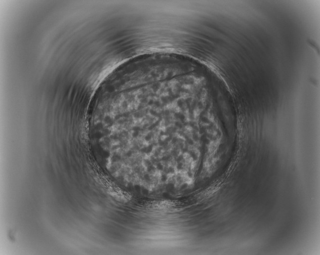 X0000101140879200807251024