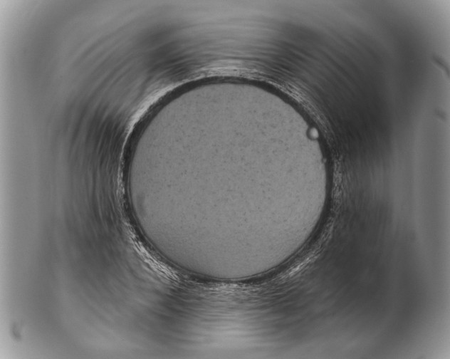 X0000101140880200807251023