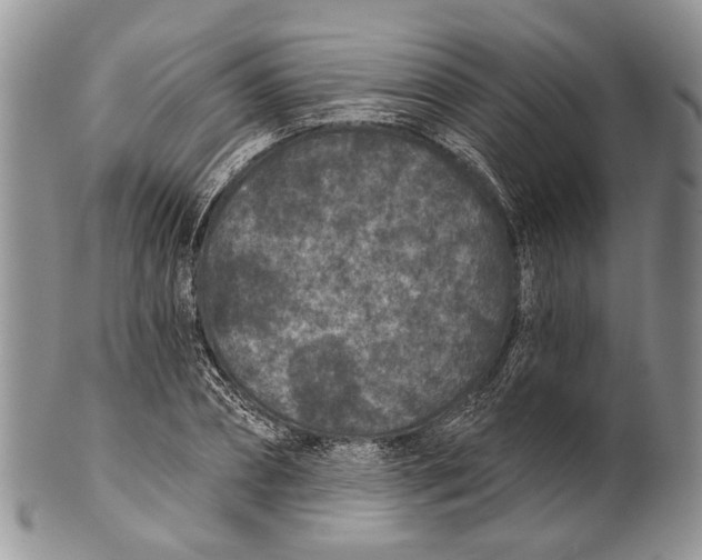 X0000101140882200807251023