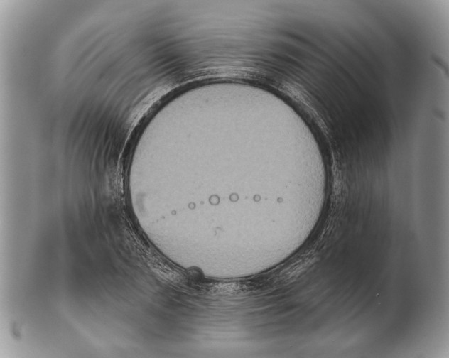 X0000101140883200807251023