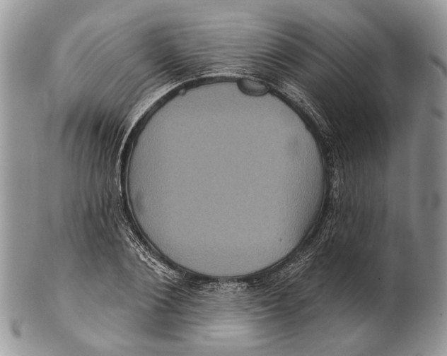 X0000101140884200807251023