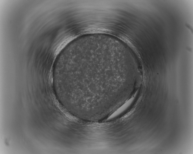 X0000101140885200807251023