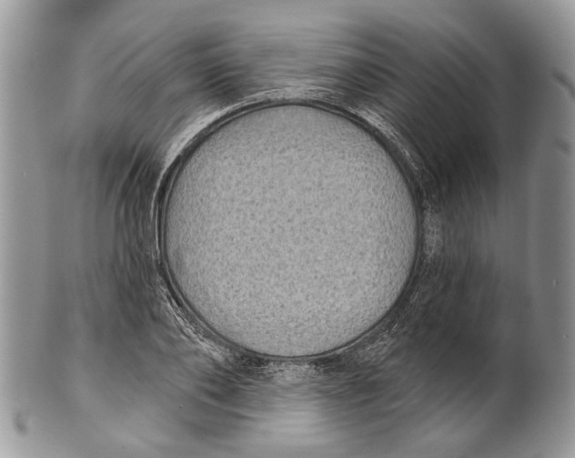 X0000101140886200807251023