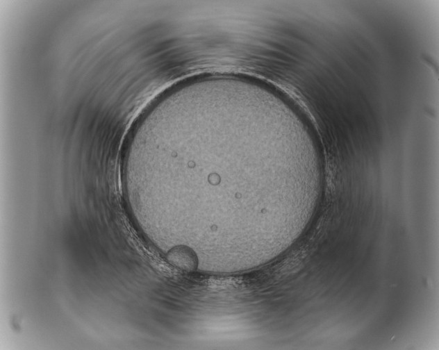 X0000101140887200807251023