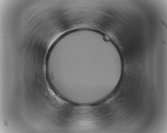 X0000101140888200807251023