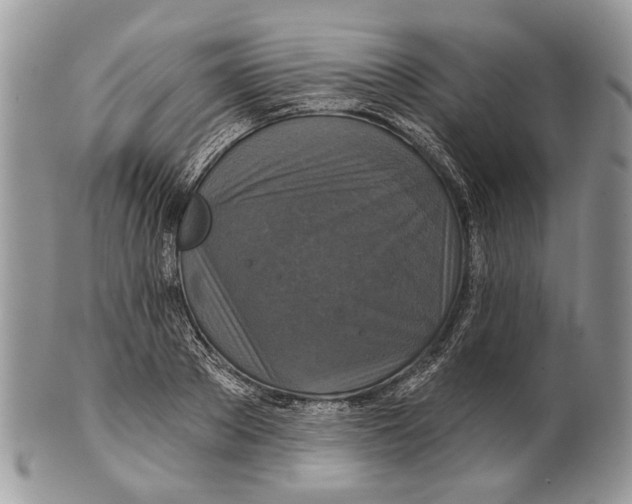 X0000101140889200807251023