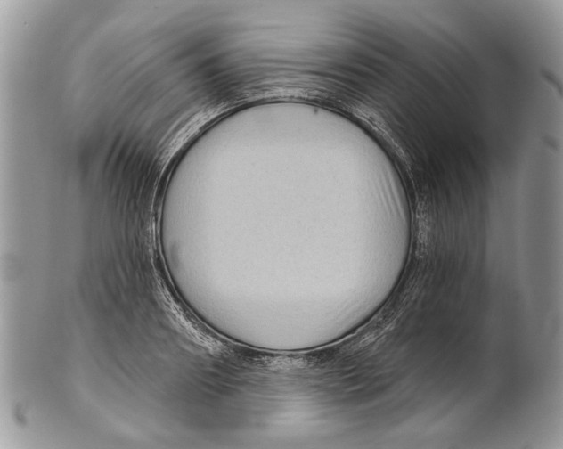 X0000101140890200807251023